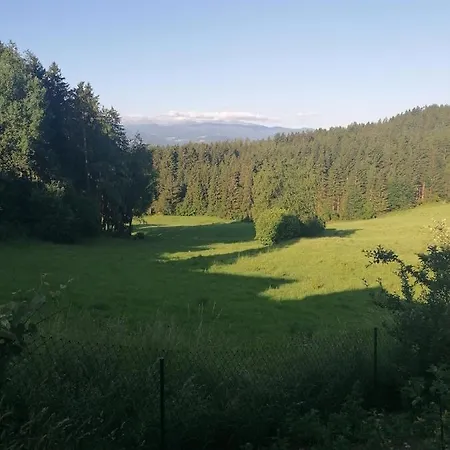 Ferienwohnung Bluemelring *